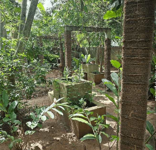 Raju Herbal and Spice Garden
